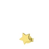 Zilveren goldplated oorknop star