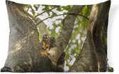 Buitenkussens - Tuin - Kleine dieren in een boom - 60x40 cm