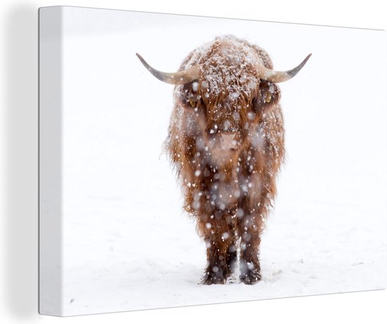 Bol Com Schattige Schotse Hooglander Lopend Door De Sneeuw Canvas 30x20 Cm Klein Foto