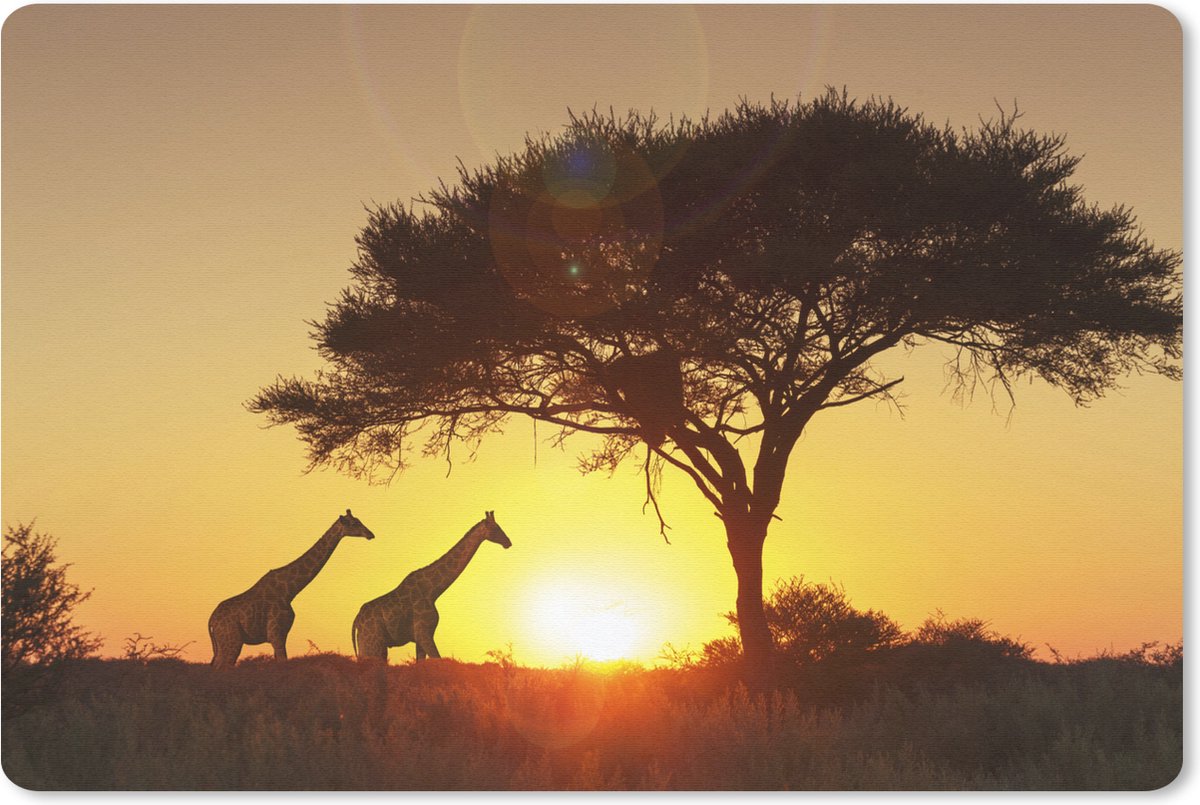 Muismat Giraffe  - Giraffes onder een boom tijdens zonsondergang muismat rubber - 60x40 cm - Muismat met foto