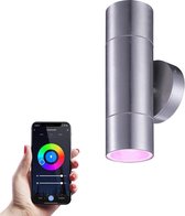 HOMEYLUX Dax - Smart wandlamp voor buiten - RVS - Besturing via app - WiFi - Bluetooth - Dimbaar - Waterdicht - Slimme verlichting - 5.5 Watt - 400 lumen - 230V - RGBWW - Verwisselbare GU10 -