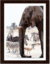 Foto in frame , Afrikaanse Olifant, 3 maten , multikleur, wanddecoratie , Premium print