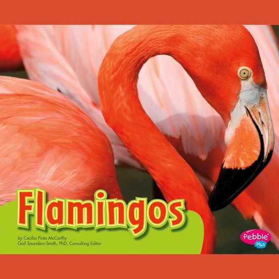 Flamingos - cover