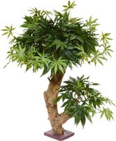 Maxifleur Kunstplanten - Kunst Acer - Kunst Bonsaiboom - 60 cm - Groen - Niet van echt te onderscheiden!