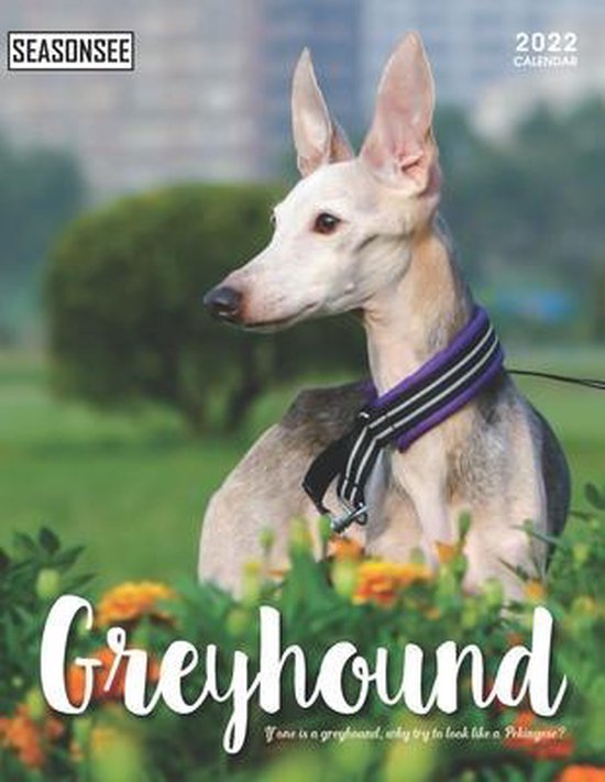Greyhound Calendar 2022, Seasonsee Publishing 9798734065891 Boeken