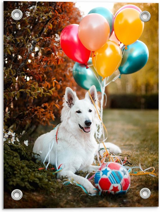 Tuinposter – Mooie Witte Hond met Verjaardag Ballonnen  - 30x40cm Foto op Tuinposter  (wanddecoratie voor buiten en binnen)