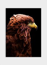 Poster Eagle - Dibond - Meerdere Afmetingen & Prijzen | Wanddecoratie - Interieur - Art - Wonen - Schilderij - Kunst