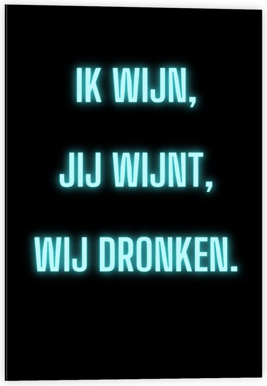 Dibond - Tekst: ''Ik Wijn, Jij Wijnt, WIj dronken'' Neon Letters Blauw/Zwart - 40x60cm Foto op Aluminium (Wanddecoratie van metaal)