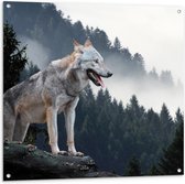 Tuinposter – Wolf op Rots - 100x100cm Foto op Tuinposter  (wanddecoratie voor buiten en binnen)