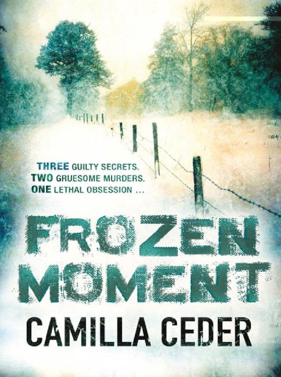 Frozen Moment - cover