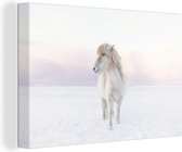 Canvas Schilderij Wit IJslander paard in de sneeuw - 30x20 cm - Wanddecoratie
