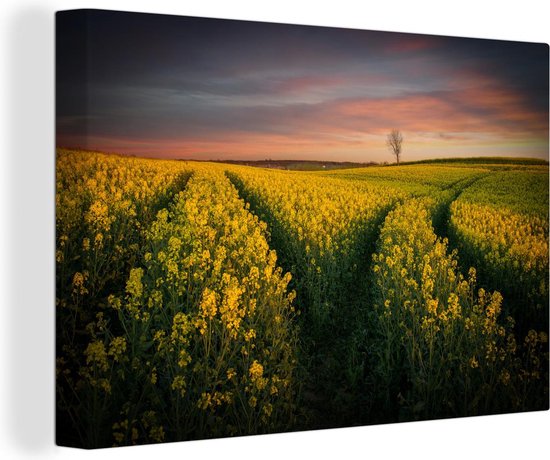 Canvas Schilderij De lente hangt in de lucht - 60x40 cm - Wanddecoratie