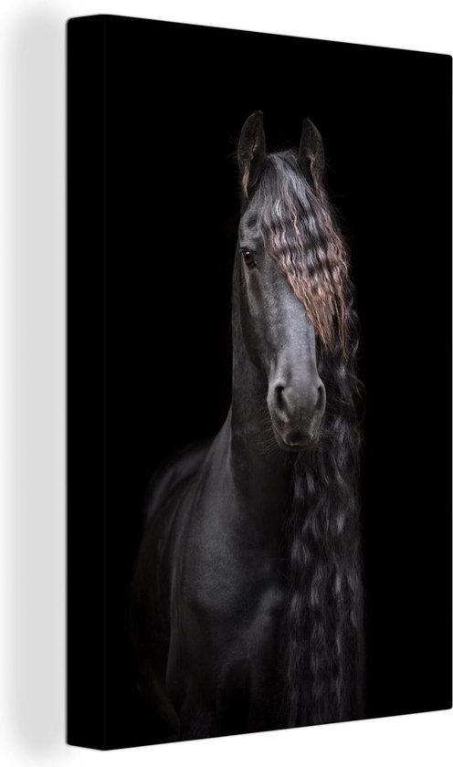 cheval fond noir
