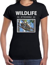 Dieren foto t-shirt Koala - zwart - dames - wildlife of the world - cadeau shirt koalabeer liefhebber XS