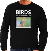 Dieren foto sweater IJsvogel - zwart - heren - birds of the world - cadeau trui vogel liefhebber M