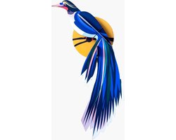 Studio Roof paradijsvogel Flores