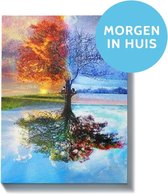 Schilderen op nummer Boom in vier seizoenen