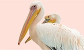 Schilderij Pink Pelican, 70 x 118 cm