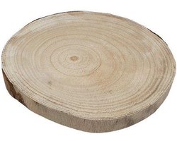 Hobbygroep houten boomstam schijf 25 cm decoratie voor knutselen.