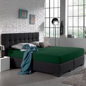 Dreamhouse Enkel Jersey Hoeslaken - 160/180x200 - Groen