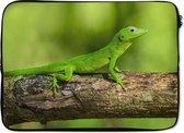Laptophoes 13 inch 34x24 cm - Gecko - Macbook & Laptop sleeve Groene gekko op een boomstronk - Laptop hoes met foto