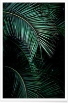 JUNIQE - Poster Palmbladeren -13x18 /Groen & Zwart