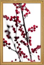 JUNIQE - Poster met houten lijst Red Berries 1 -20x30 /Rood & Wit