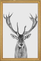 JUNIQE - Poster met houten lijst Rendier Klassiek Zwart-Wit -40x60