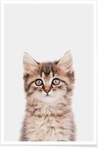 JUNIQE - Poster Kitten II -40x60 /Bruin & Grijs