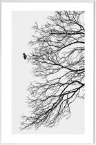 JUNIQE - Poster in kunststof lijst Winter Bird -40x60 /Grijs & Wit