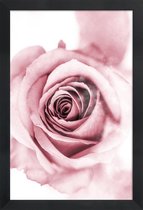 JUNIQE - Poster met houten lijst Roze pioenroosblaadjes -13x18 /Roze &