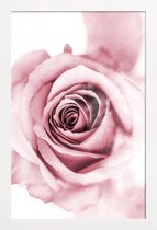 JUNIQE - Poster in houten lijst Roze pioenroosblaadjes -40x60 /Roze &