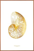 JUNIQE - Poster met kunststof lijst Nautilus Shell gouden -13x18 /Goud