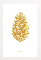 JUNIQE - Poster met houten lijst Pinecone gouden -30x45 /Goud & Wit