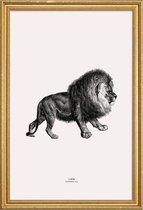 JUNIQE - Poster met houten lijst Lion -60x90 /Grijs & Ivoor