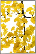 JUNIQE - Poster met kunststof lijst Ginkgo -60x90 /Bruin & Geel