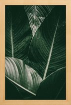 JUNIQE - Poster in houten lijst Palm Drops -30x45 /Grijs & Ivoor