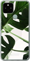 6F hoesje - geschikt voor Google Pixel 5 -  Transparant TPU Case - Tropical Plants #ffffff