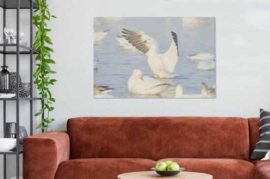 Oie des neiges vole hors de l'eau Toile 140x90 cm - Tirage photo sur toile (Décoration murale salon / chambre)