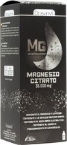 Drasanvi Citrato Magnesio Liquido 250ml