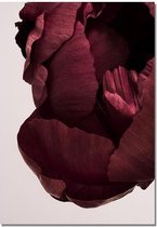 Canvas Experts Doek Met Rode Bloemen (A) Leuk Om Te Combineren! Maat 100x70CM *ALLEEN DOEK MET WITTE RANDEN* Wanddecoratie | Poster | Wall Art | Canvas Doek | Voor Meer Opties En C