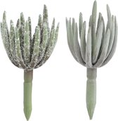 J-Line vetplant Echeveria - kunststof - groen - small - 2 stuks