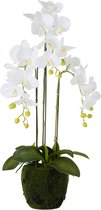 J-Line Orchidee Fresh Touch Wit Medium