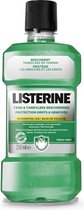 Listerine - Freshburst - 250ml