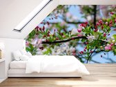 Professioneel Fotobehang Roze bloemen op tak - groen roze - Sticky Decoration - fotobehang - decoratie - woonaccesoires - inclusief gratis hobbymesje - 325 cm breed x 220 cm hoog - in 7 versc