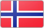 Noorse vlag - 100 x 150 cm - Polyester
