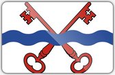 Vlag gemeente Leiderdorp - 100 x 150 cm - Polyester