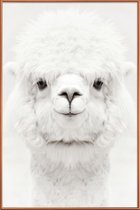 JUNIQE - Poster met kunststof lijst Smiling Alpaca -40x60 /Wit