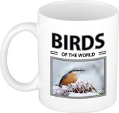 Boomklever vogels mok met dieren foto birds of the world