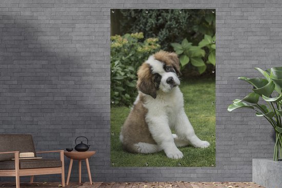 Affiche de jardin chiot Saint Bernard 3 mois toile en vrac 120x180 cm - Toile de jardin / Toile d'extérieur / Peintures d'extérieur (décoration de jardin) XXL / Groot format!